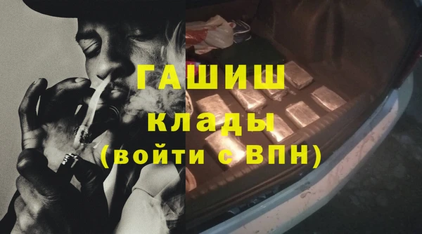молекула духа Арсеньев