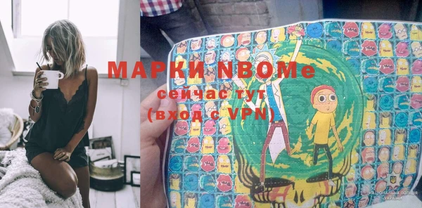 шишки Аркадак