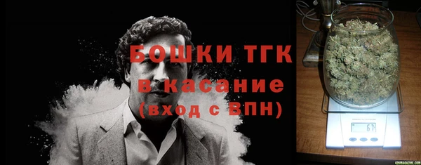 шишки Аркадак