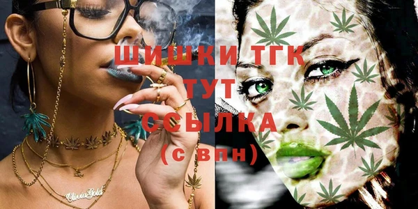 молекула духа Арсеньев
