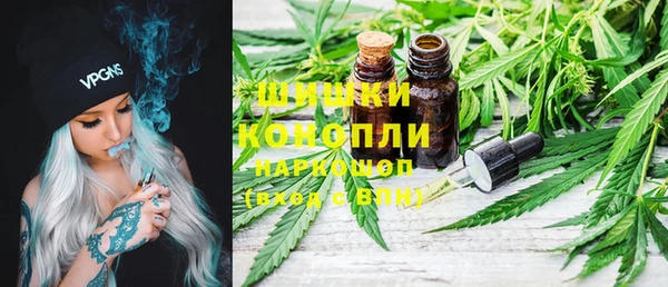 шишки Аркадак