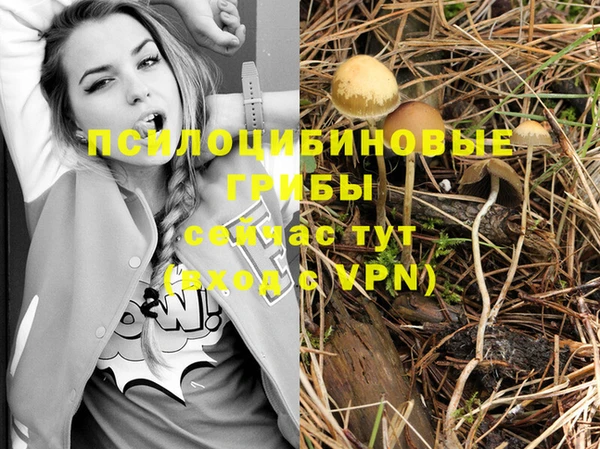 молекула духа Арсеньев