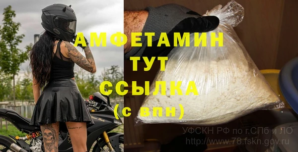 шишки Аркадак