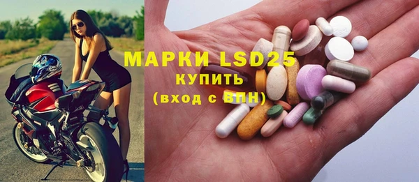 шишки Аркадак