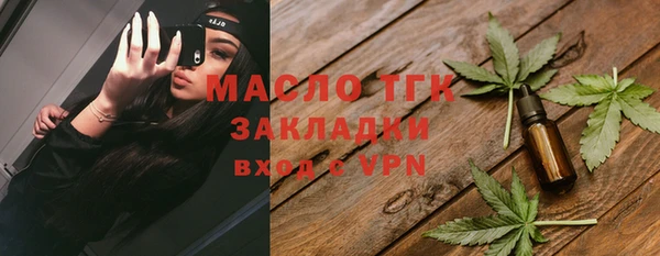 молекула духа Арсеньев