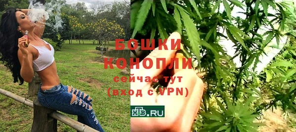молекула духа Арсеньев