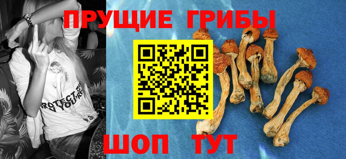 Псилоцибиновые грибы Magic Shrooms Новомосковск