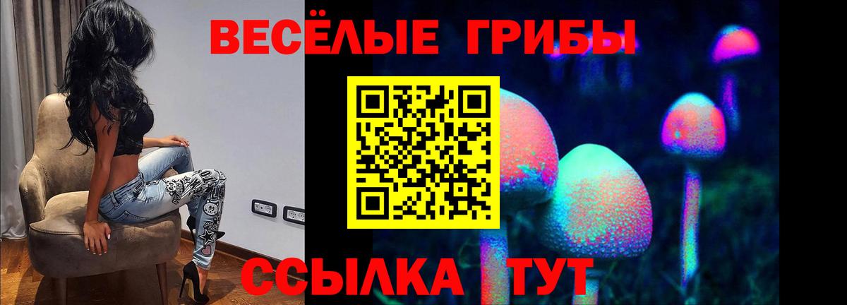 Новомосковск  где можно купить   Вход с VPN  Галлюциногенные грибы MAGIC MUSHROOMS  Галлюциногенные грибы GOLDEN TEACHER 